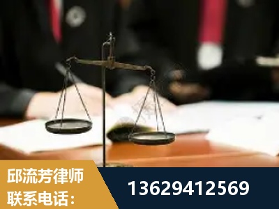 益阳-抚养权